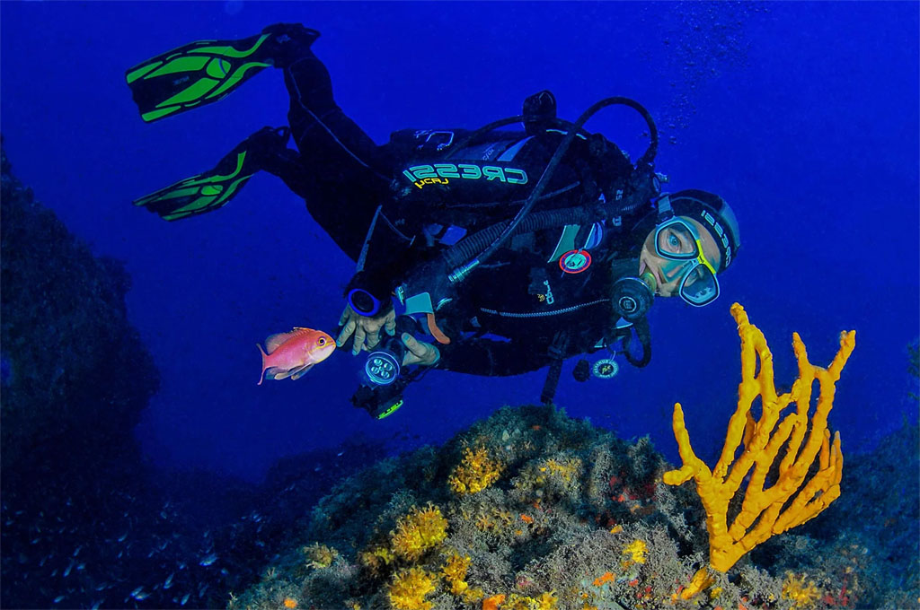 Diving in the Mediterranean Sea